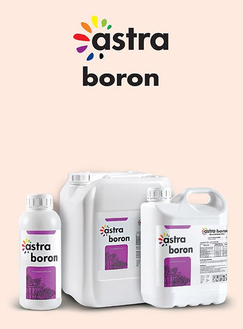 ASTRA Boron