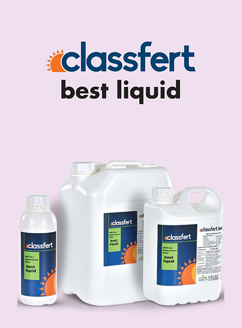 CLASSFERT BEST LIQUID