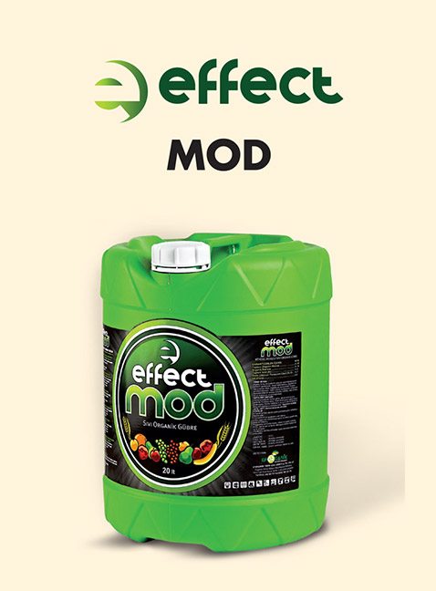 EFFECT MOD