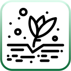 Jel ve Süspansiyon Gübreler